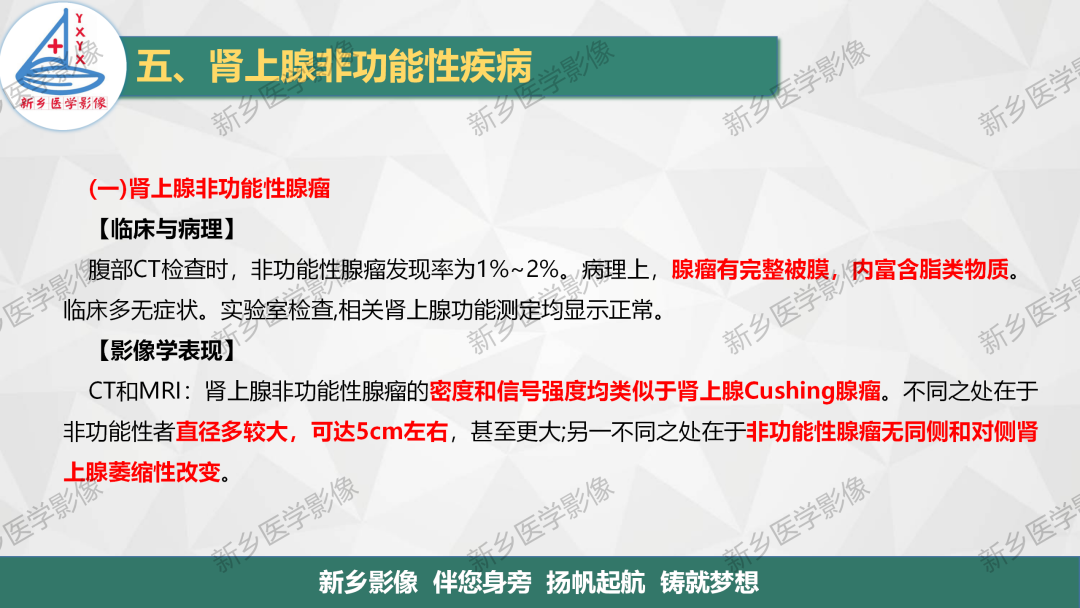 影像PPT - 【PPT】肾上腺解剖及常见疾病诊断要点-38