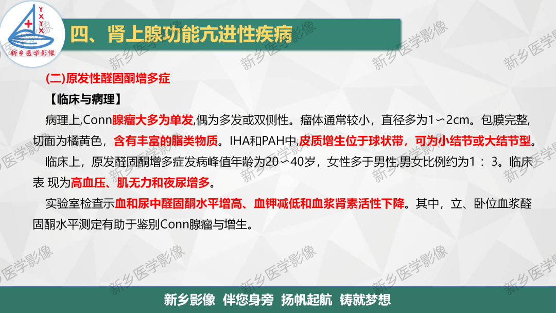 影像PPT - 【PPT】肾上腺解剖及常见疾病诊断要点-23