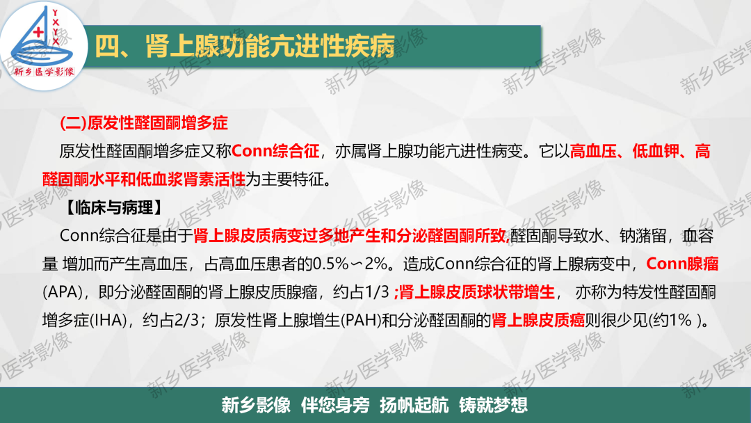 影像PPT - 【PPT】肾上腺解剖及常见疾病诊断要点-22
