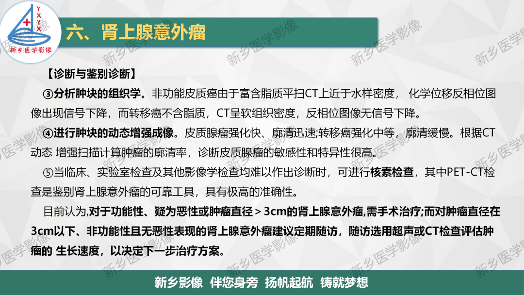 影像PPT - 【PPT】肾上腺解剖及常见疾病诊断要点-48