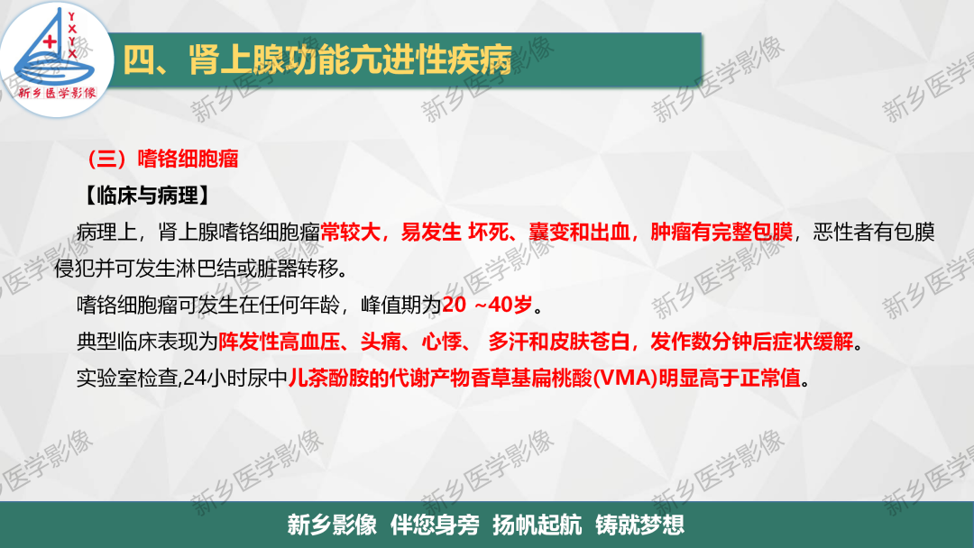 影像PPT - 【PPT】肾上腺解剖及常见疾病诊断要点-29