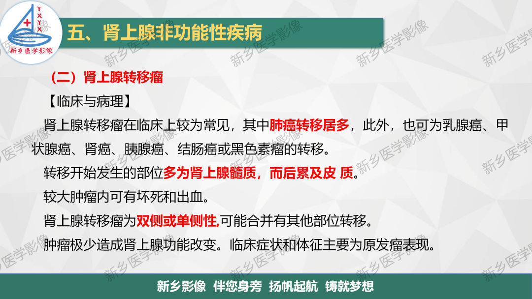 影像PPT - 【PPT】肾上腺解剖及常见疾病诊断要点-39