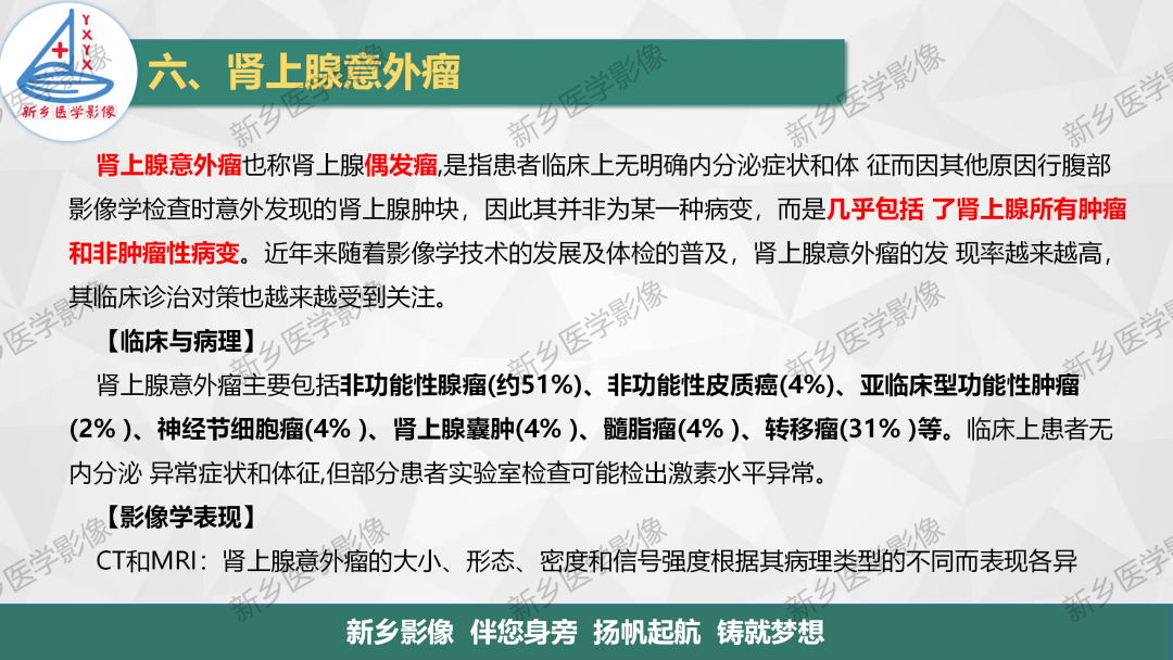 影像PPT - 【PPT】肾上腺解剖及常见疾病诊断要点-46