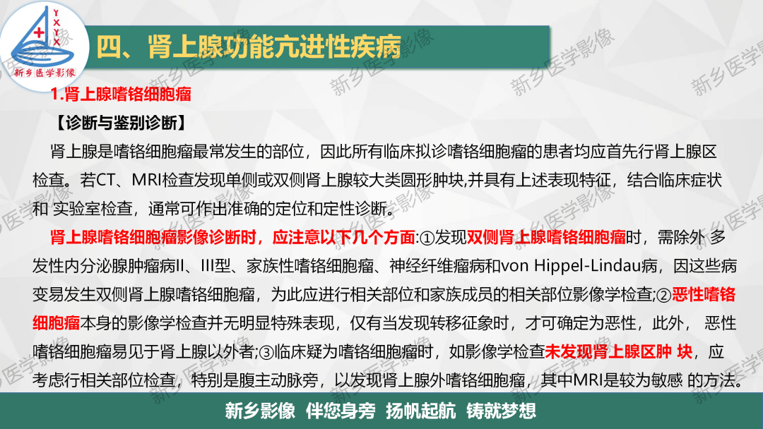 影像PPT - 【PPT】肾上腺解剖及常见疾病诊断要点-33