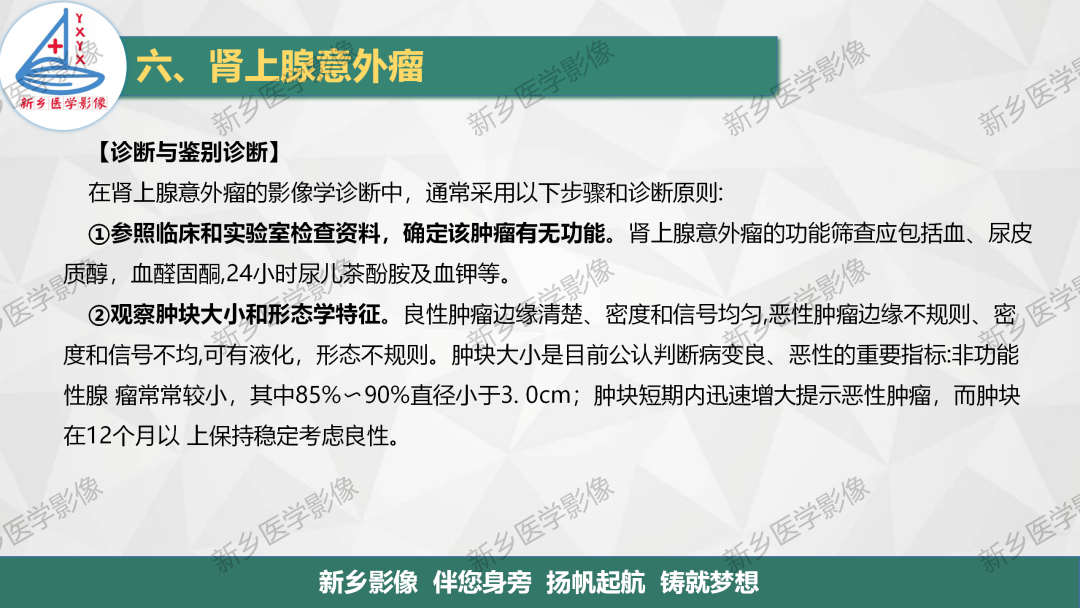 影像PPT - 【PPT】肾上腺解剖及常见疾病诊断要点-47