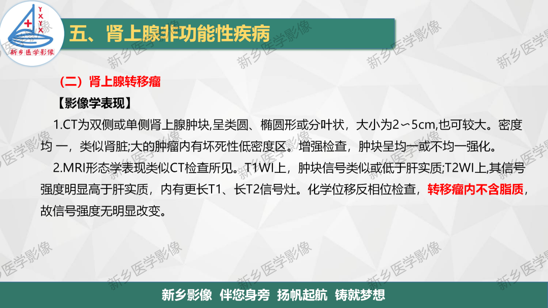 影像PPT - 【PPT】肾上腺解剖及常见疾病诊断要点-40