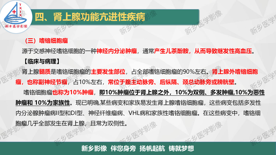 影像PPT - 【PPT】肾上腺解剖及常见疾病诊断要点-28