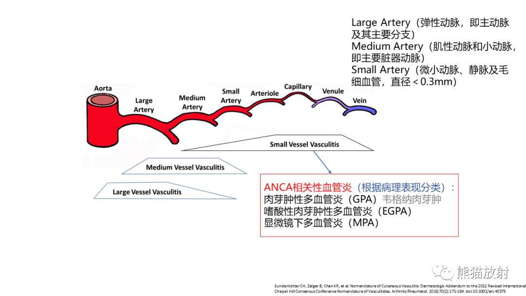 影像PPT - 【病例】ANCA相关性血管炎2例肺部CT影像-29