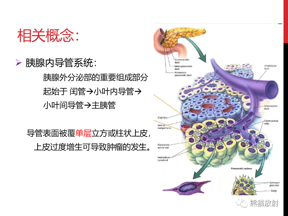 影像PPT - 【PPT】胰腺导管内肿瘤的影像诊断-2