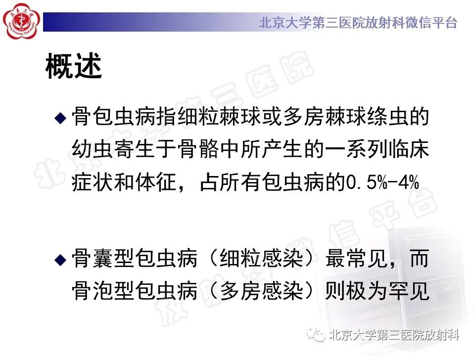 影像PPT - 【PPT】骨包虫病-10
