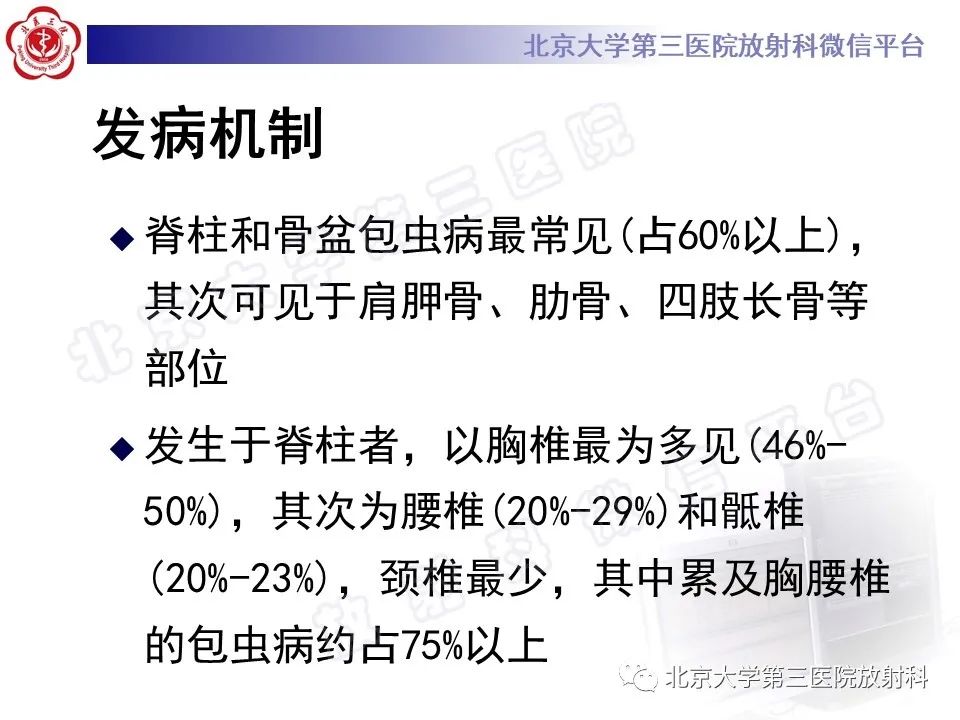 影像PPT - 【PPT】骨包虫病-13