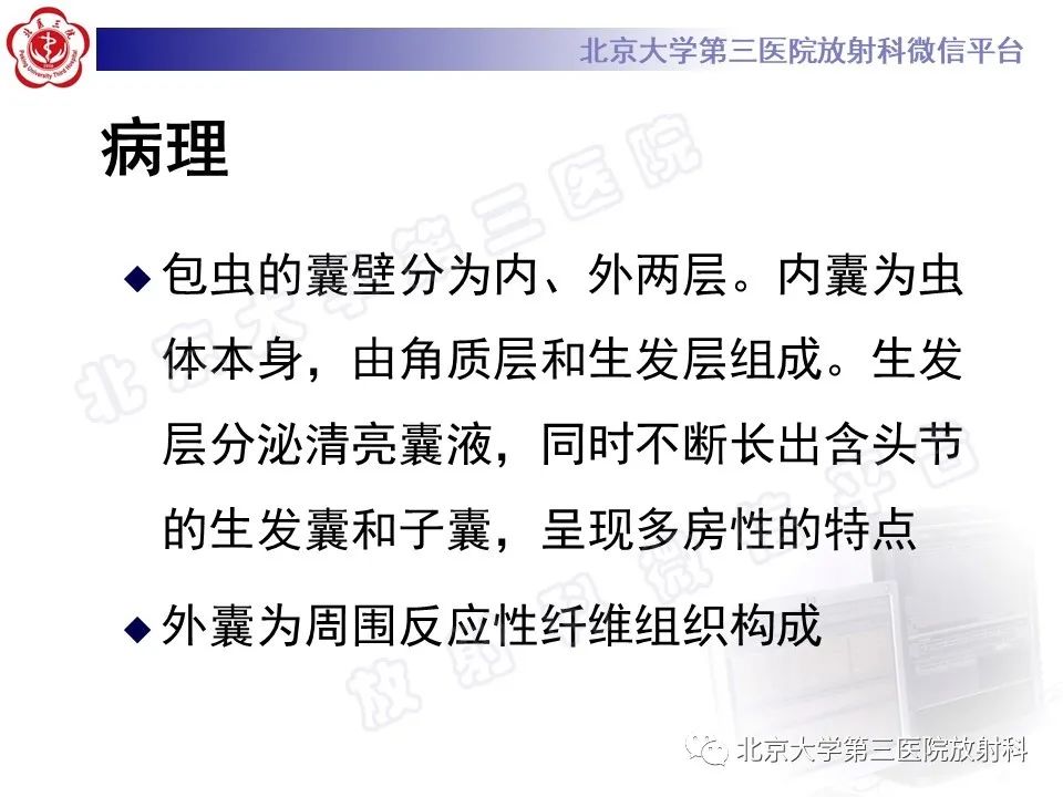 影像PPT - 【PPT】骨包虫病-14