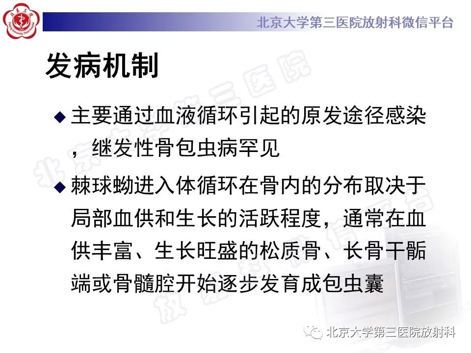影像PPT - 【PPT】骨包虫病-12