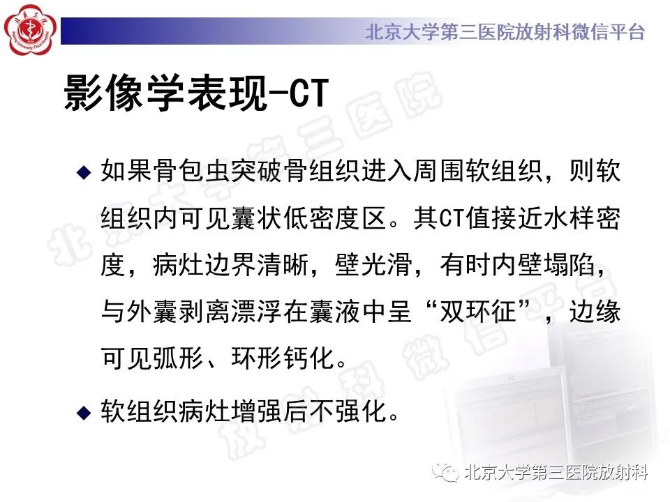 影像PPT - 【PPT】骨包虫病-22