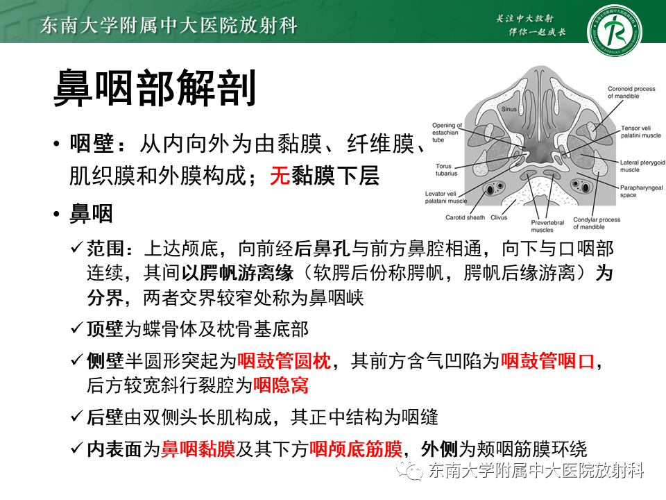 影像PPT - 【PPT】鼻咽部占位性病变随访及鉴别-52