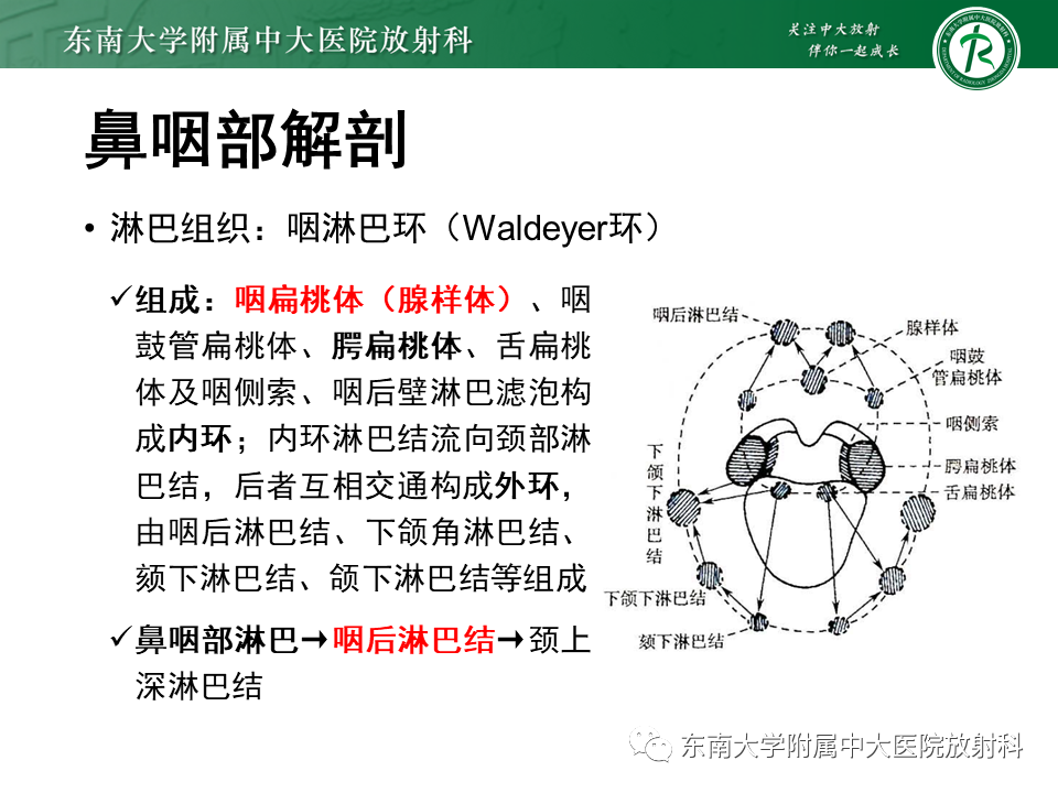 影像PPT - 【PPT】鼻咽部占位性病变随访及鉴别-54