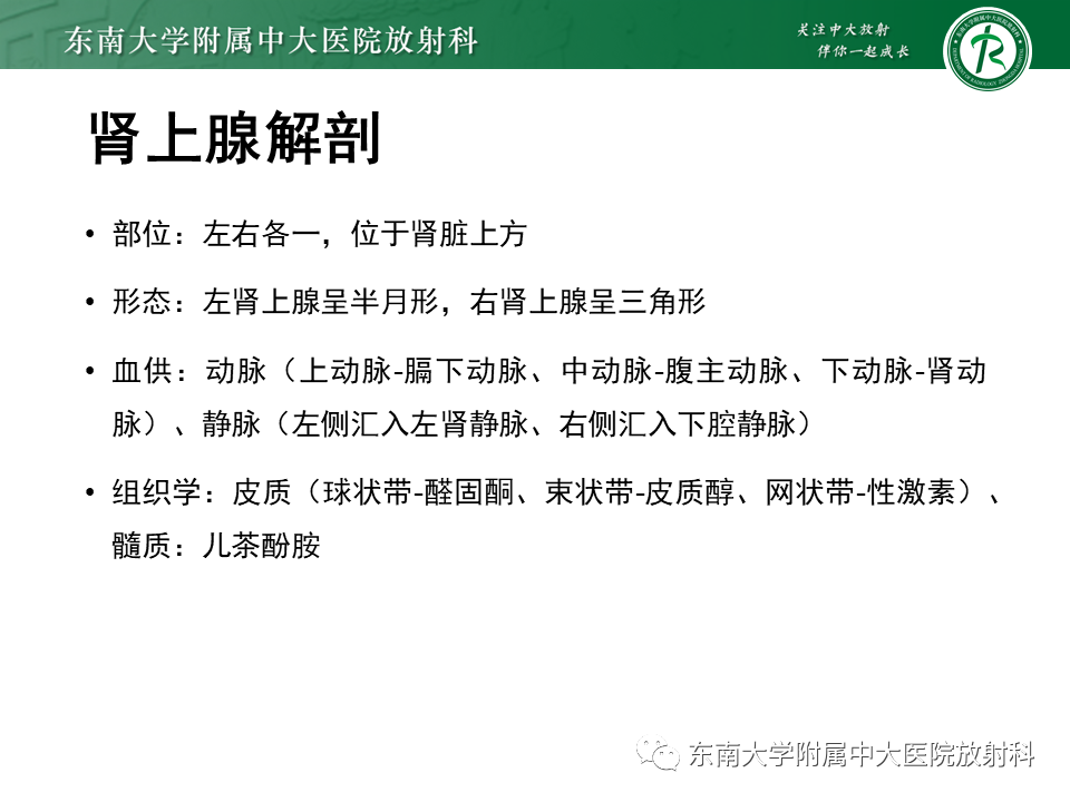 影像PPT - 【PPT】肾上腺神经源性肿瘤-5