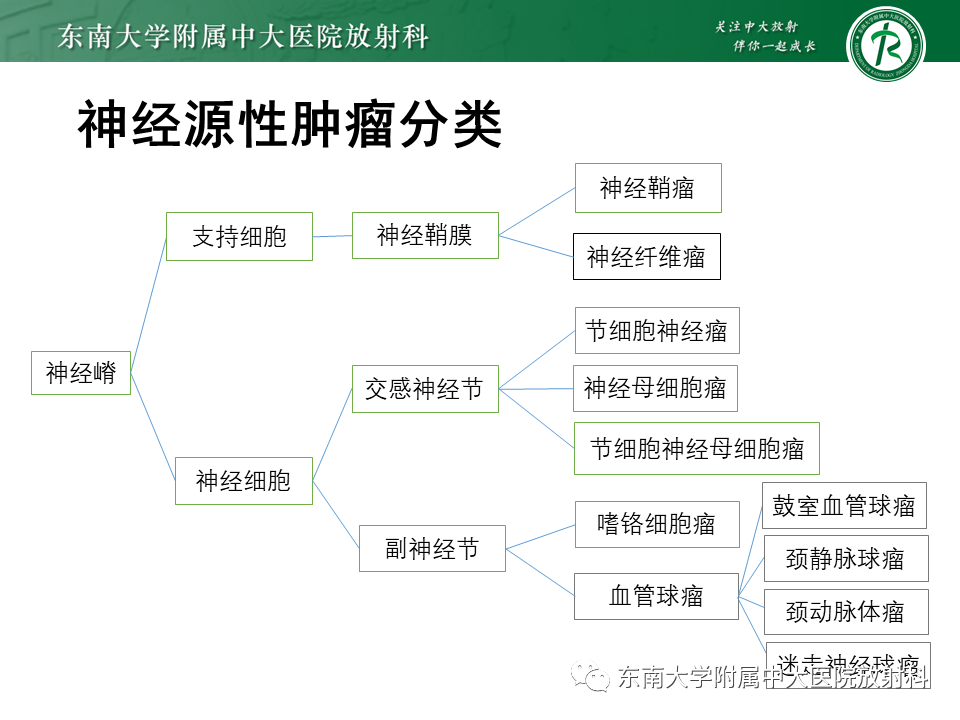 影像PPT - 【PPT】肾上腺神经源性肿瘤-8