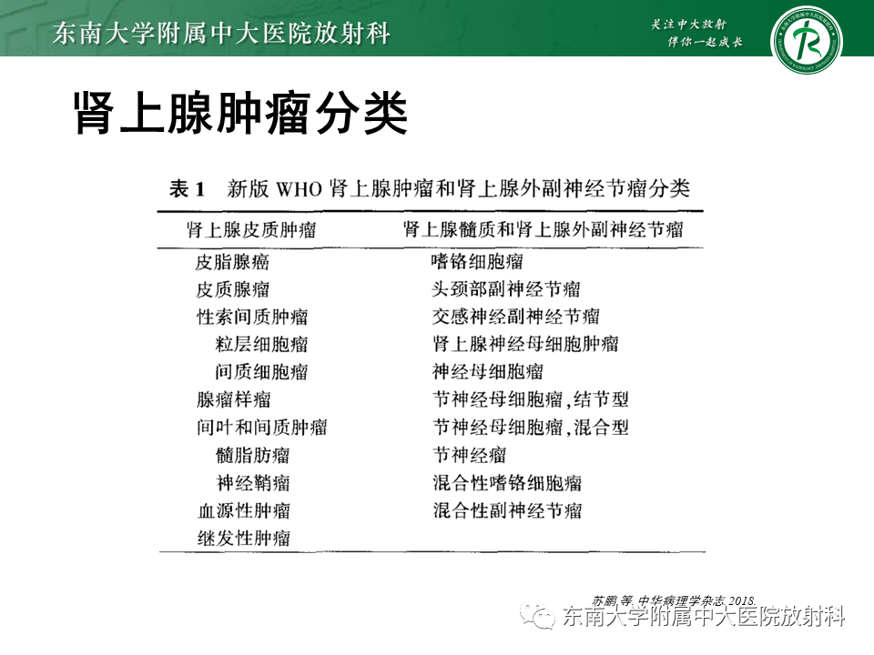 影像PPT - 【PPT】肾上腺神经源性肿瘤-7
