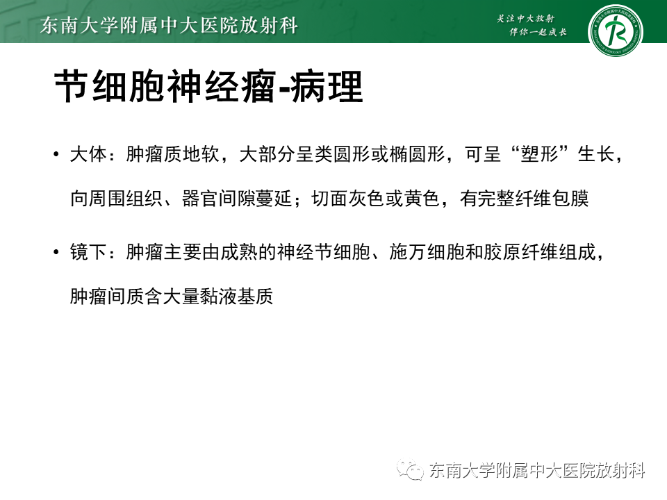影像PPT - 【PPT】肾上腺神经源性肿瘤-10