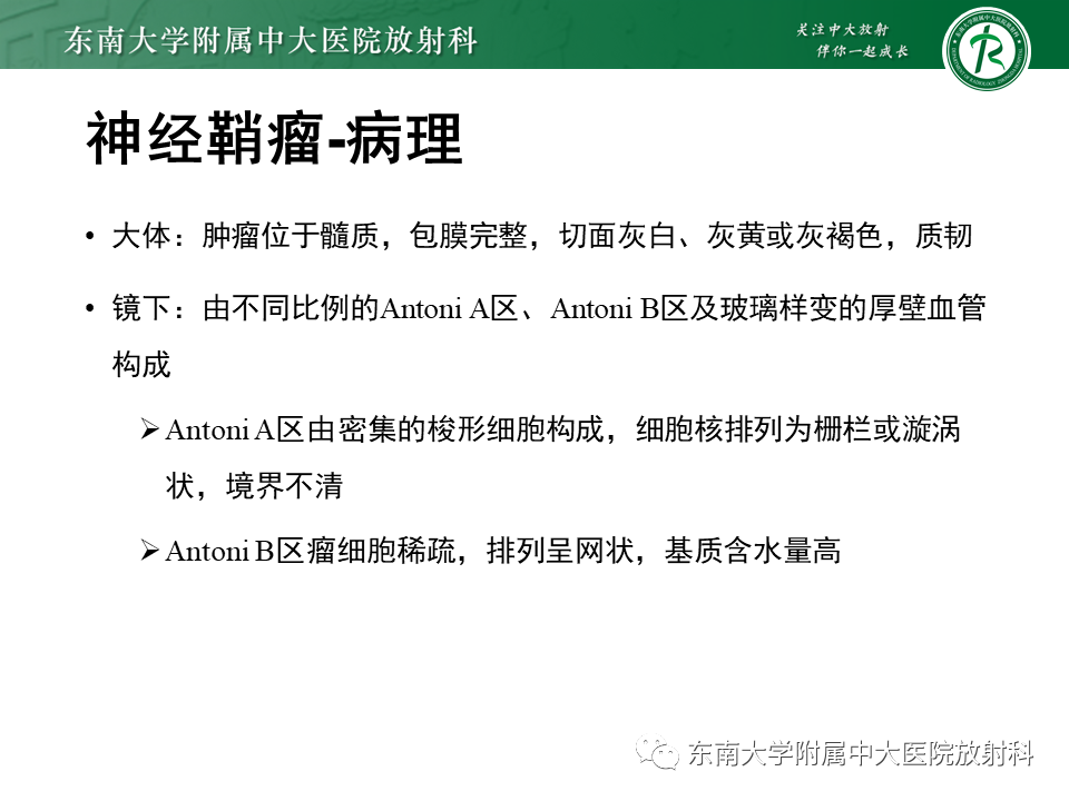 影像PPT - 【PPT】肾上腺神经源性肿瘤-18