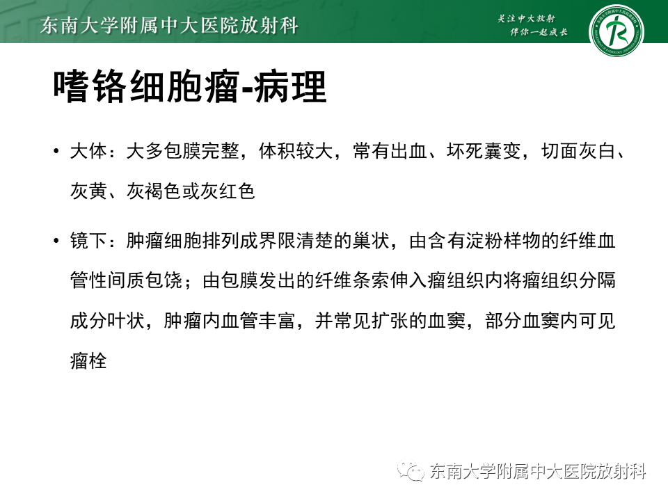 影像PPT - 【PPT】肾上腺神经源性肿瘤-28