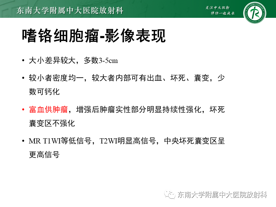 影像PPT - 【PPT】肾上腺神经源性肿瘤-29
