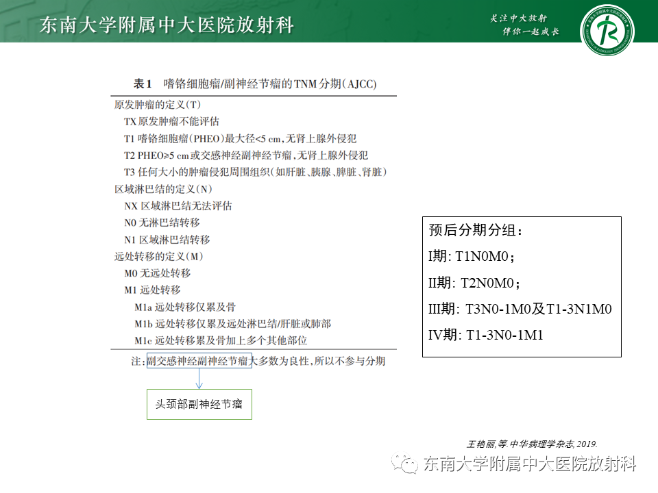 影像PPT - 【PPT】肾上腺神经源性肿瘤-30