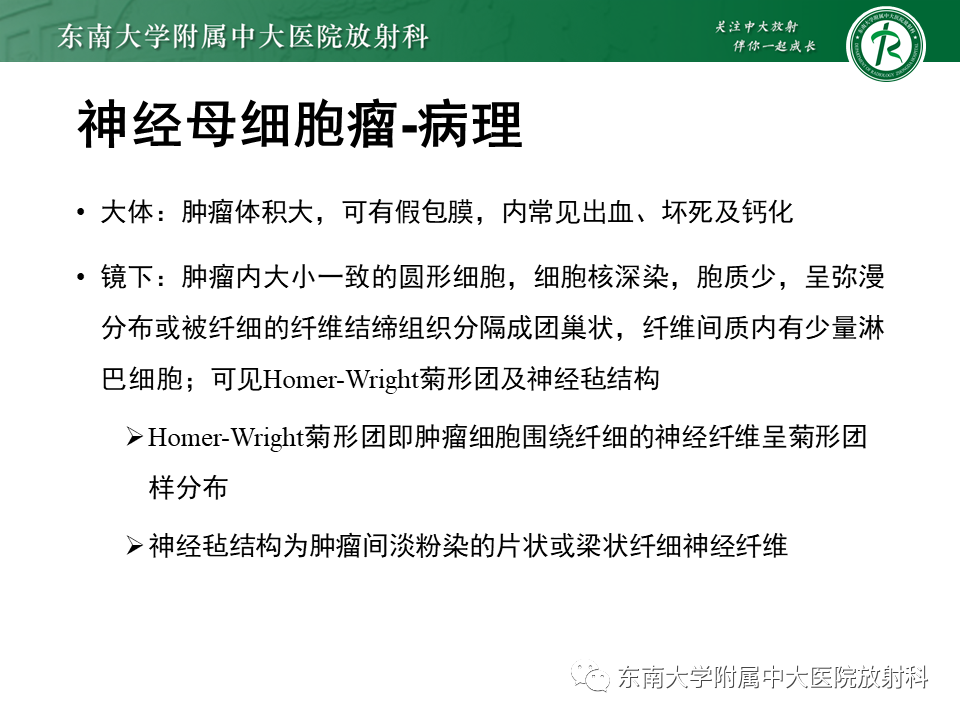 影像PPT - 【PPT】肾上腺神经源性肿瘤-35