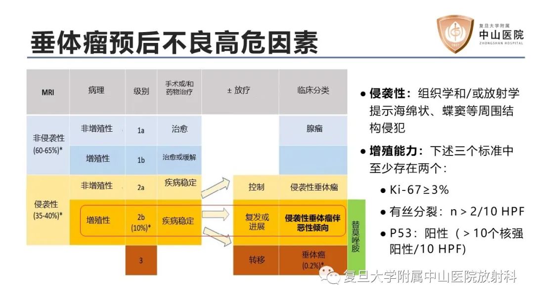 影像PPT - 【病例】垂体癌1例CT及MR影像-11