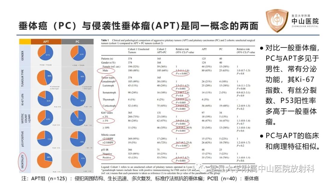 影像PPT - 【病例】垂体癌1例CT及MR影像-10