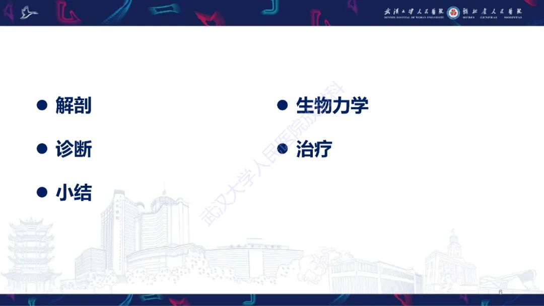 影像PPT - 【PPT】Lisfranc关节损伤影像诊断-6