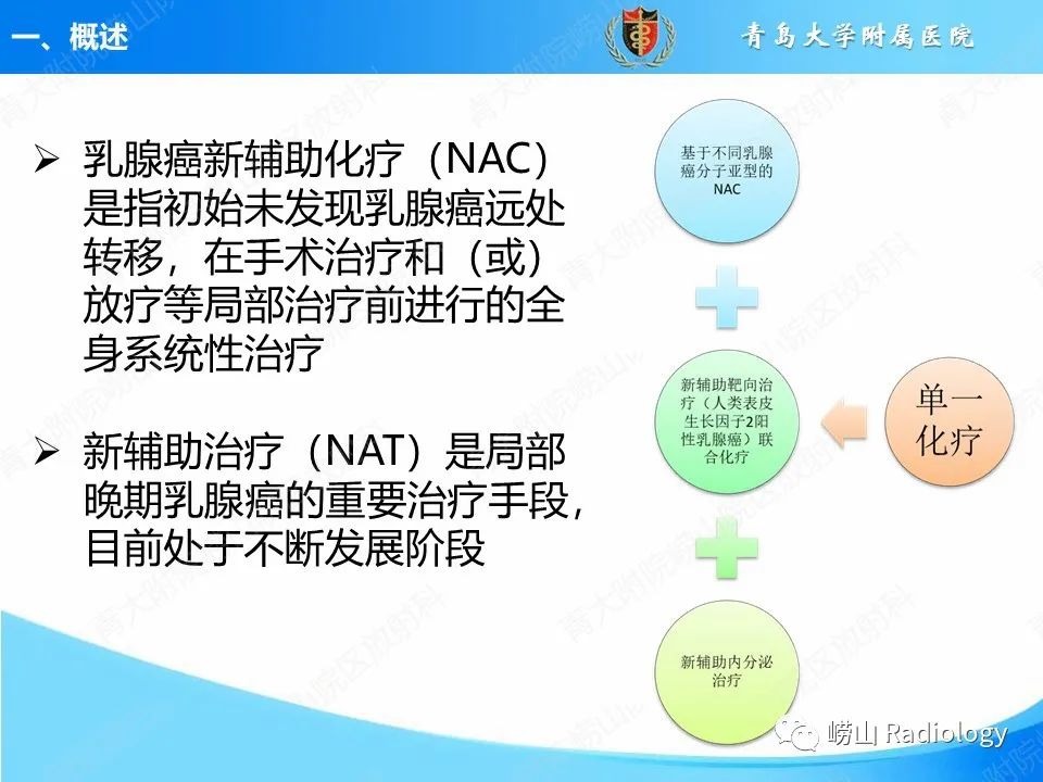 影像PPT - 【PPT】乳腺X线摄影及其延伸技术评估乳腺癌新辅助治疗效果-3