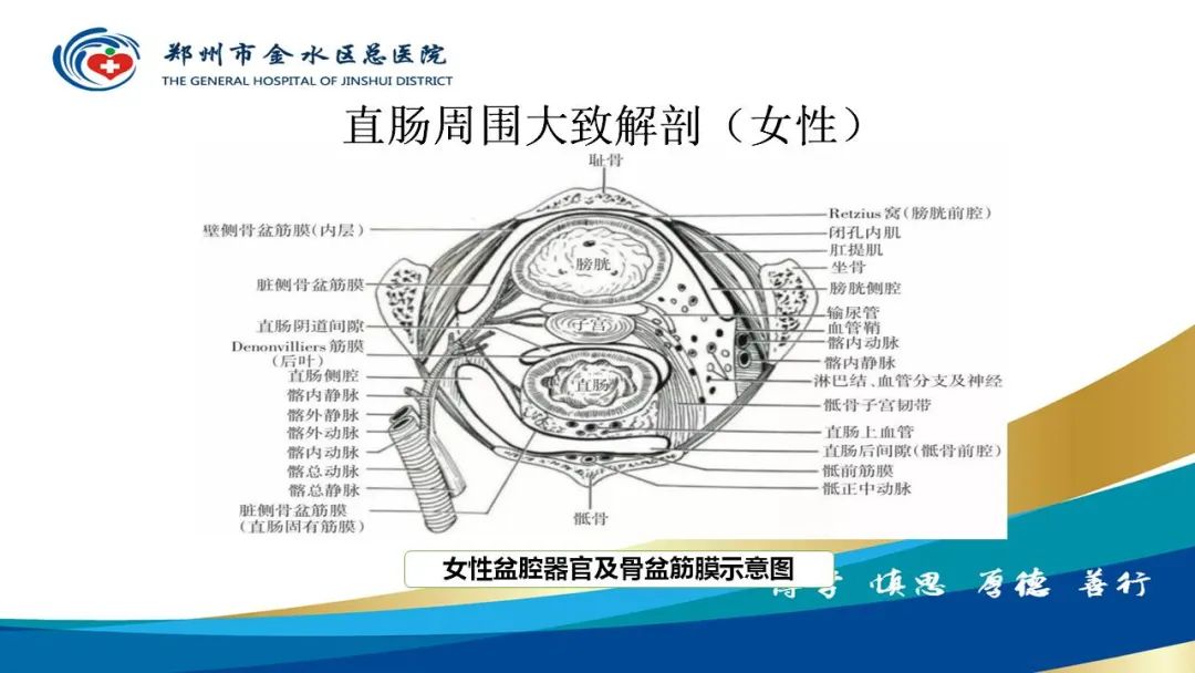 影像PPT - 【病例】直肠癌1例CT及MR影像诊断与鉴别-15