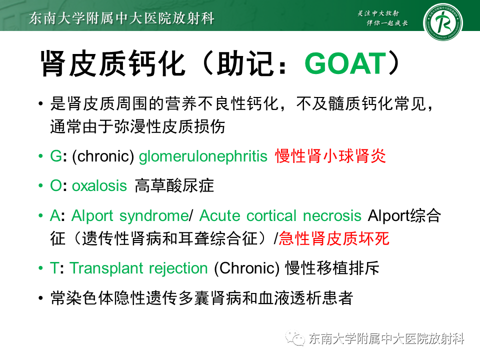 影像PPT - 【PPT】肾脏钙化性病变-15