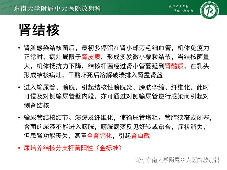 影像PPT - 【PPT】肾脏钙化性病变-25