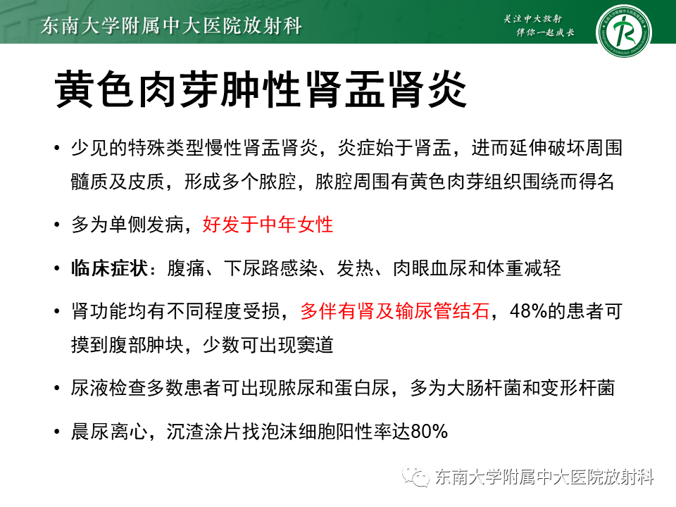 影像PPT - 【PPT】肾脏钙化性病变-29