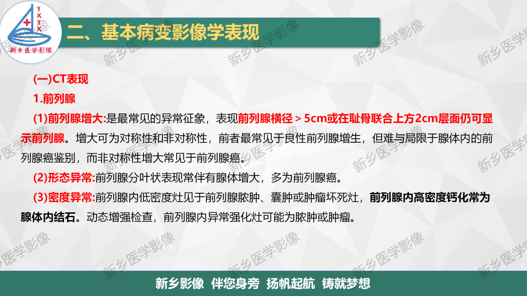 影像PPT - 【PPT】男性生殖系统解剖及常见病变影像表现-10