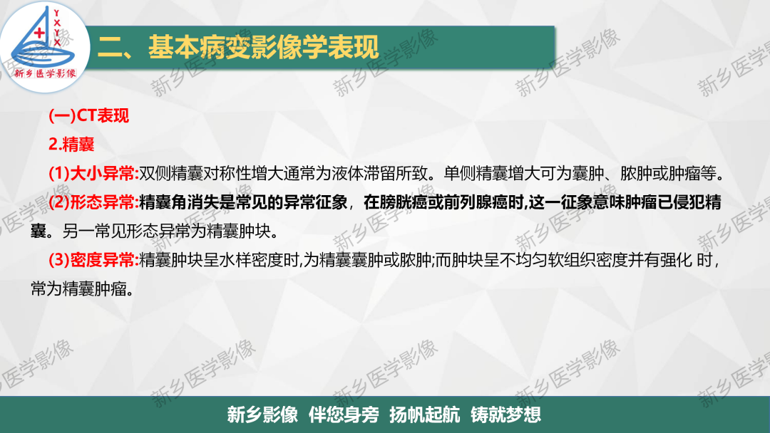 影像PPT - 【PPT】男性生殖系统解剖及常见病变影像表现-11