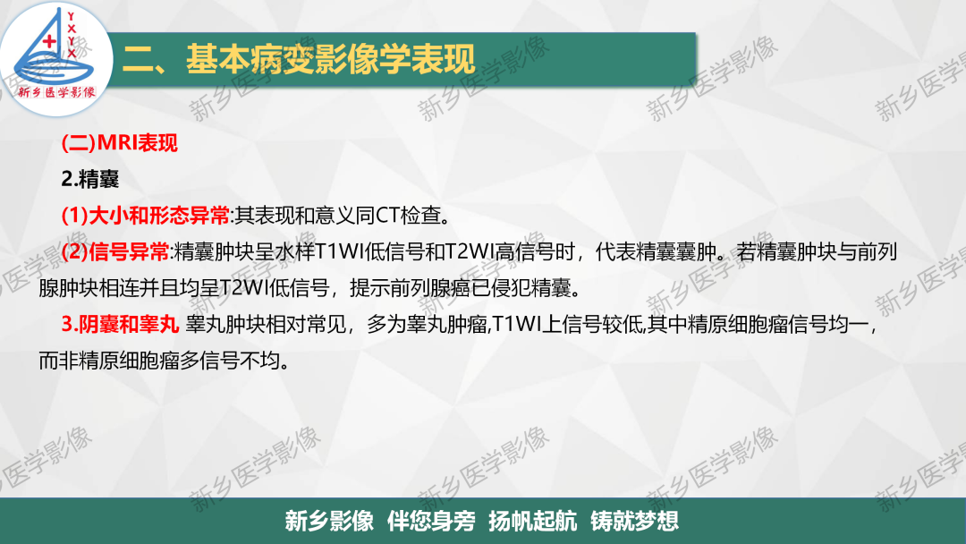 影像PPT - 【PPT】男性生殖系统解剖及常见病变影像表现-13