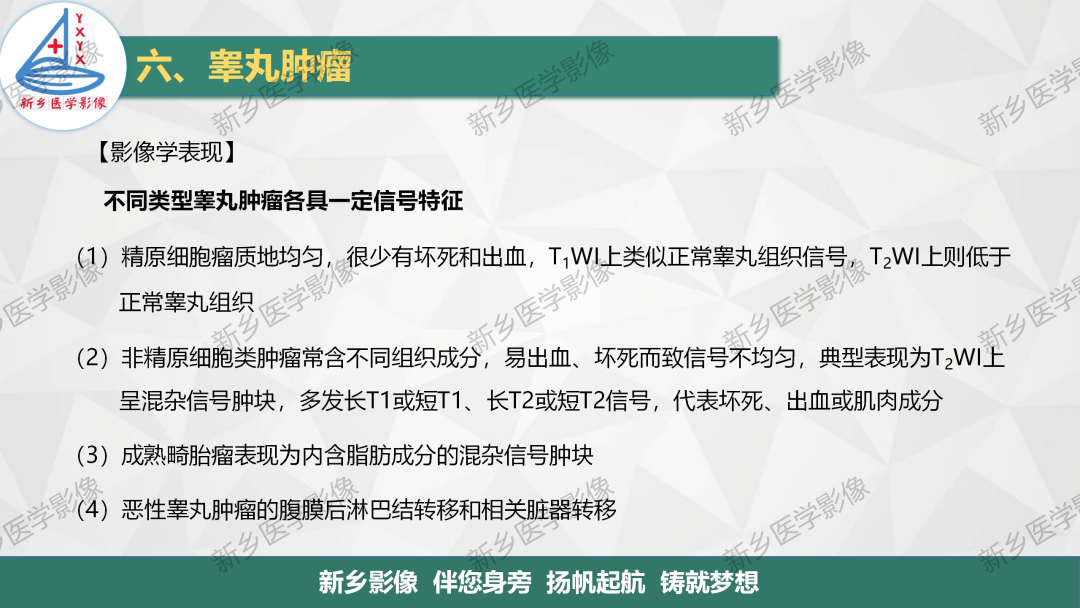 影像PPT - 【PPT】男性生殖系统解剖及常见病变影像表现-28