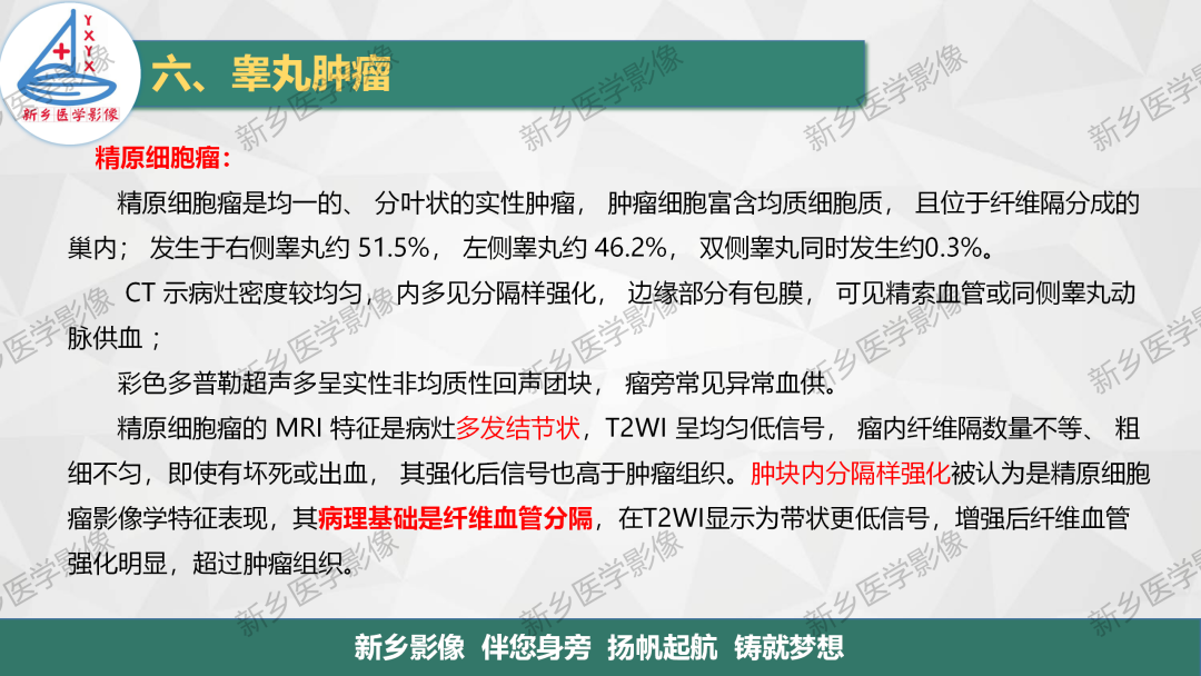 影像PPT - 【PPT】男性生殖系统解剖及常见病变影像表现-29