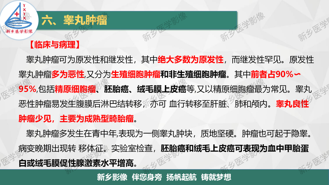 影像PPT - 【PPT】男性生殖系统解剖及常见病变影像表现-27
