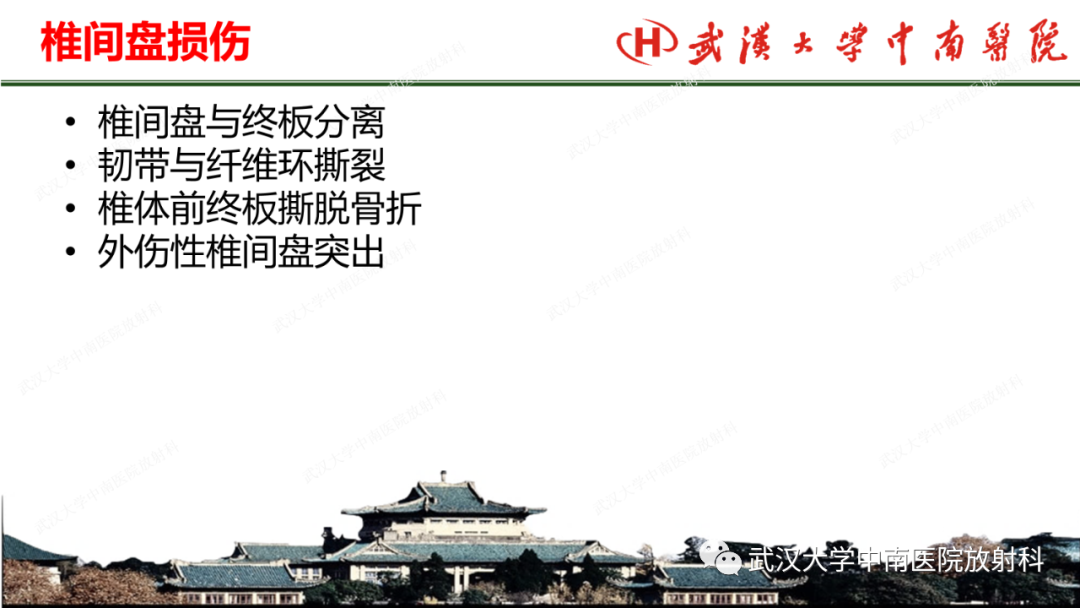 影像PPT - 【PPT】脊柱外伤的影像分析-11