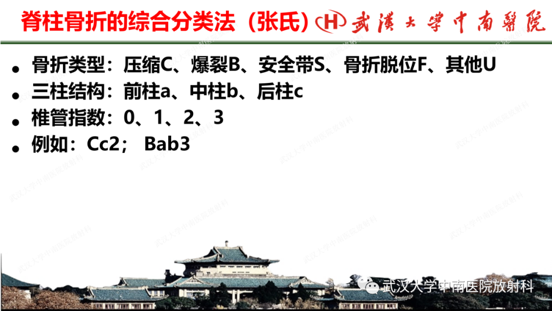 影像PPT - 【PPT】脊柱外伤的影像分析-8