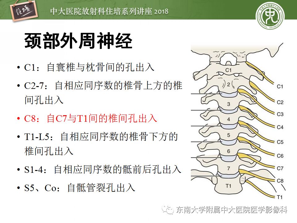 影像PPT - 【PPT】外周神经影像解剖及相关疾病简介-8