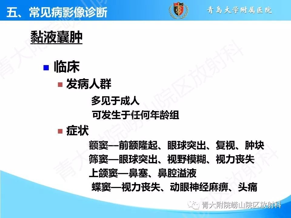 影像PPT - 【PPT】鼻和鼻窦-31