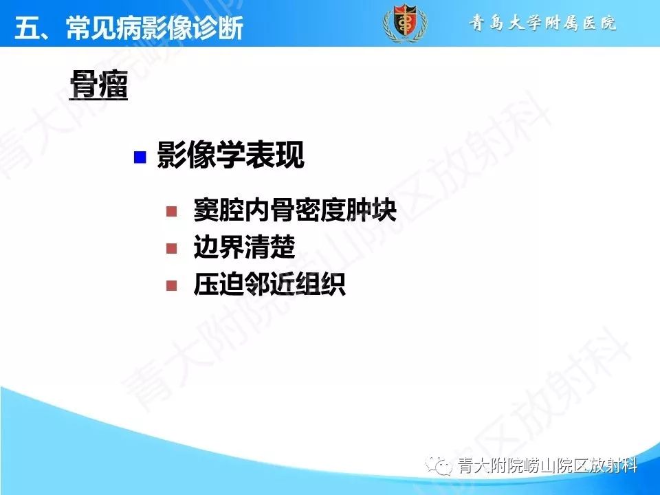 影像PPT - 【PPT】鼻和鼻窦-41
