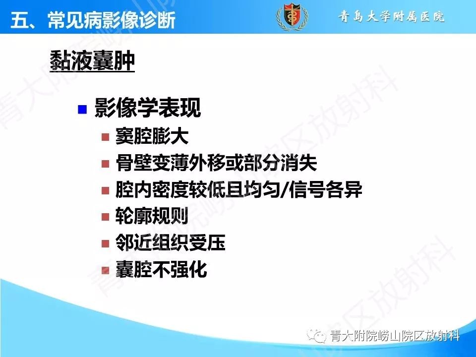 影像PPT - 【PPT】鼻和鼻窦-33