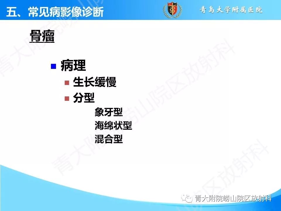 影像PPT - 【PPT】鼻和鼻窦-40